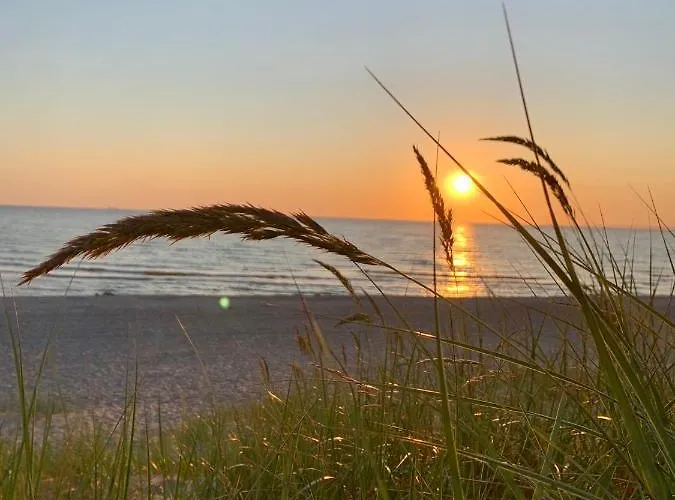 In Apartmán Palanga